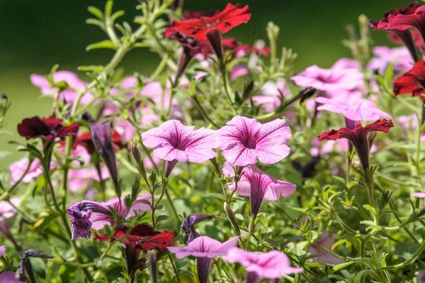 Milléniaux Fortunés et Marché de l'Immobilier Haut de Gamme : Réinvention et Tendances Actuelles