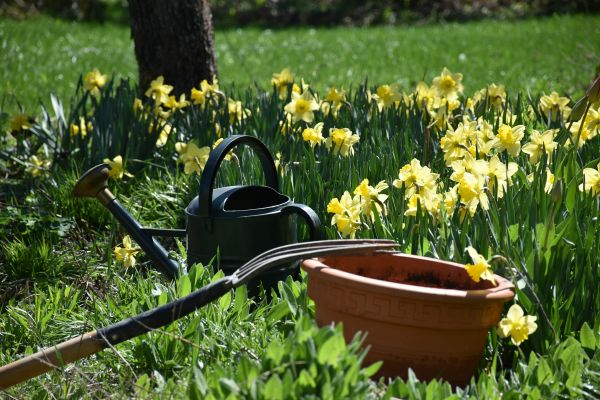 Les meilleurs outils d'extérieur pour simplifier le jardinage