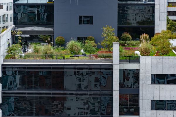 Les raisons d'adopter une toiture terrasse végétalisée